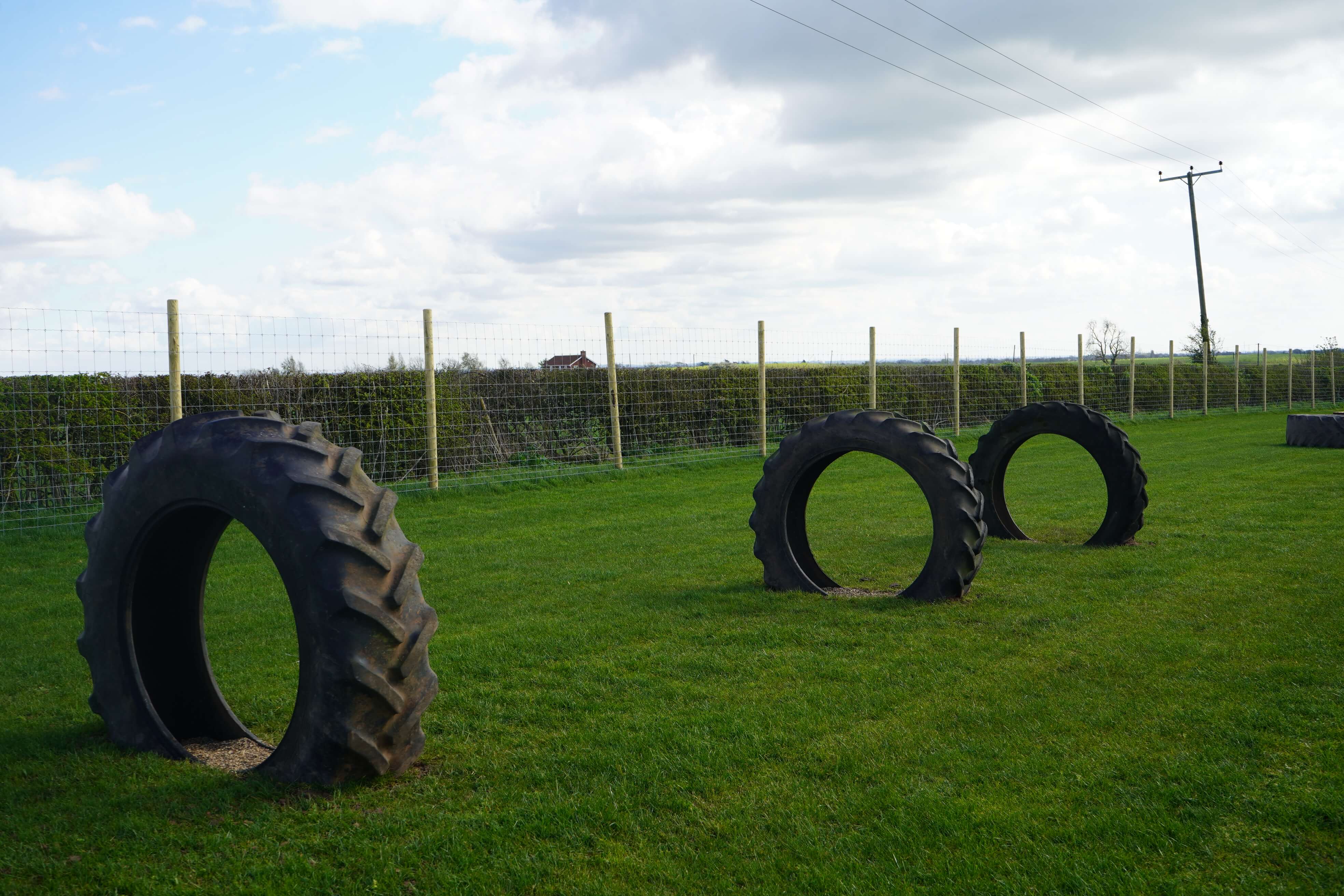 Getting To Our Private Dog Paddock | Field Farm Dog Paddock